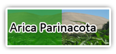 Arica Parinacota