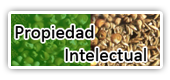 Propiedad Intelectual
