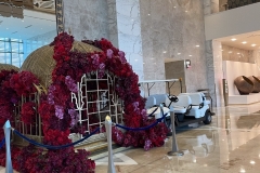 20251117_115244845_iOS-Pequena