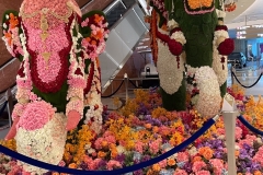 20251117_115722058_iOS-Pequena