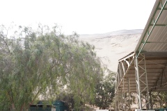 Pensar-Agro_0-2