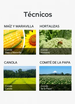 Comités técnicos