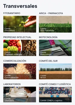 Comités transversales