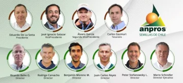 Directorio y equipo
