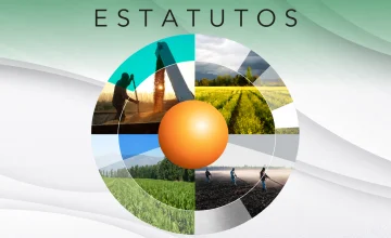 Estatutos y Reglamentos