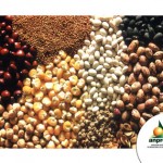 Curso para Contrapartes SAG