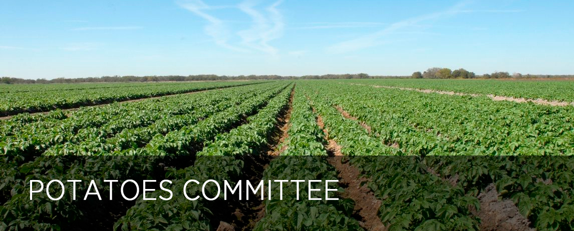 POTATOES COMMITTEE