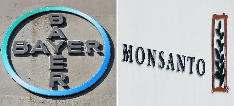 BAYER compra MONSANTO en US$ 66.000 millones