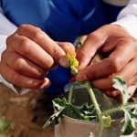 ANPROS INVITA A SUS EMPRESAS SOCIAS A OPTAR A PROGRAMA DE EVALUACIÓN Y CERTIFICACIÓN DE COMPETENCIAS LABORALES