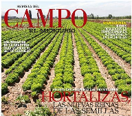 Revista del Campo destaca momento actual de la Industria Semillera en Chile