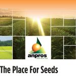 Chile, The Place of Seeds en Revista European Seeds