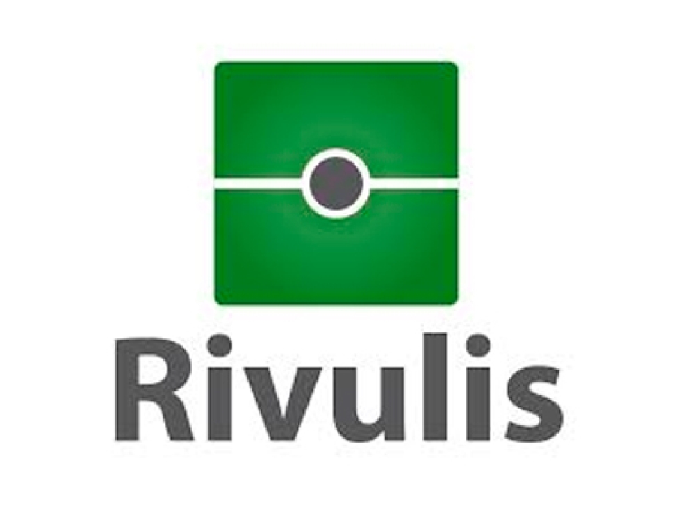 Rivulis