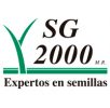 SG2000 (1)