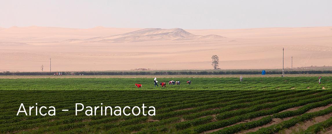 ARICA – PARINACOTA COMMITTEE