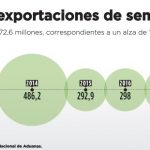 SEMILLEROS PROYECTAN UNA TEMPORADA EN ALZA