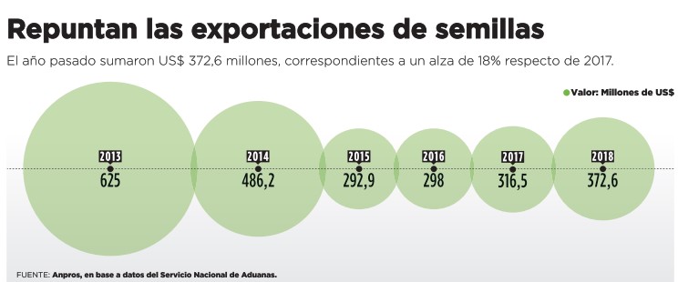 SEMILLEROS PROYECTAN UNA TEMPORADA EN ALZA