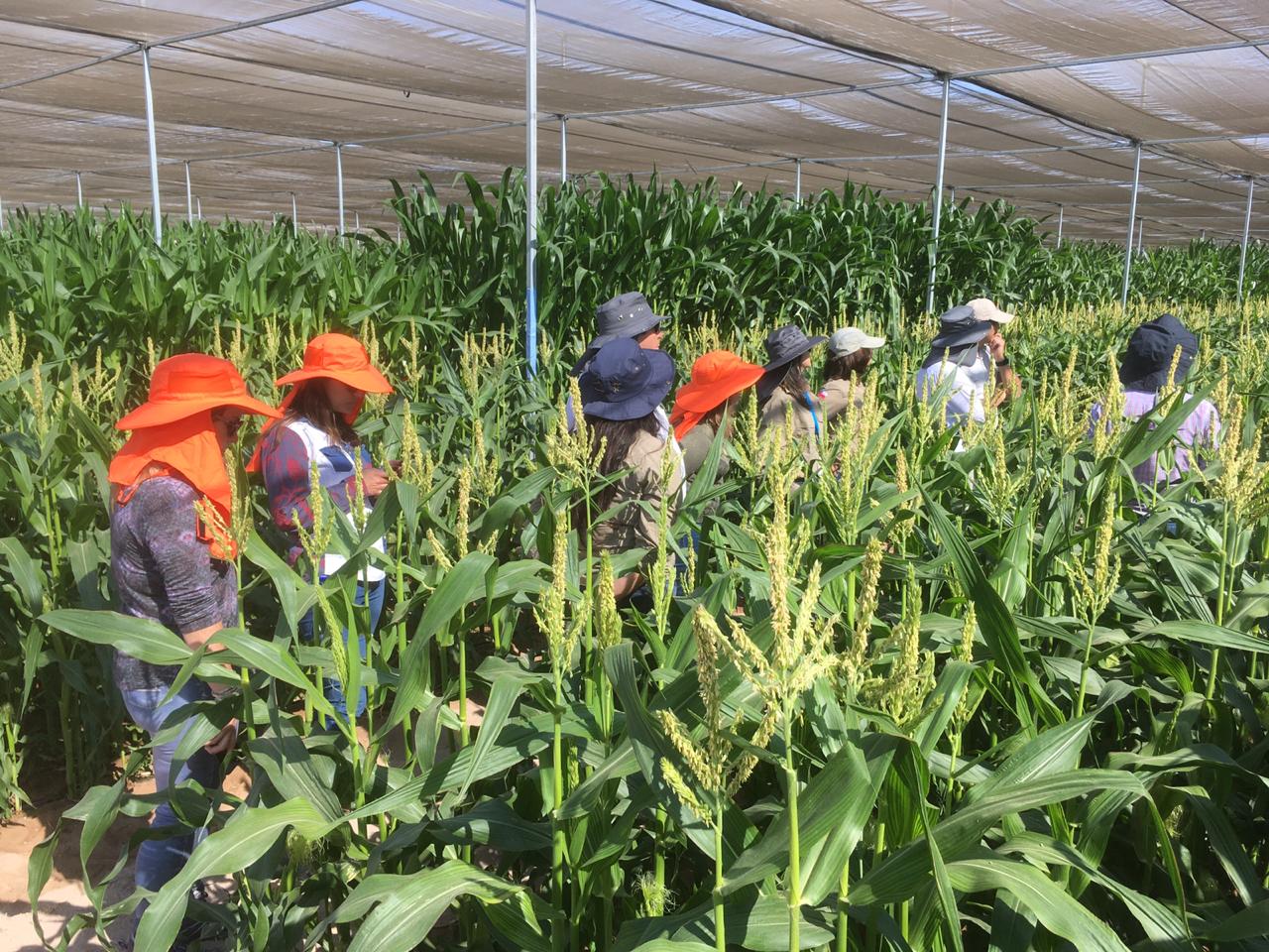 Representantes del SAG visitan instalaciones de investigación y desarrollo en Arica y Parinacota