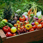Implicancias del nuevo congelamiento de TPP 11 en el sector agroexportador chileno en relación a las Variedades Vegetales Protegidas