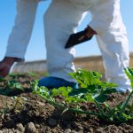 Vicisitudes Legales en el Mundo Agrícola a raíz del Estado de Excepción Constitucional de Catástrofe