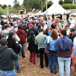 120 agricultores se capacitaron para producir semillas certificadas de papa en Provincia de Arauco
