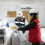 SAG destaca positivos resultados de la exportación de semillas de Ñuble