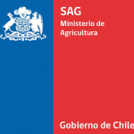 Trámite SAG de autorización de internación de mercaderías silvoagrícolas ahora es digital