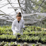 La bioeconomía, una aliada de peso en la recuperación económica post pandemia