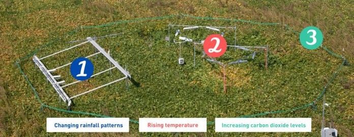 Para predecir cómo los cultivos afrontan el cambio climático, los experimentos simulan el futuro