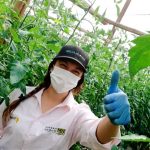 ANPROS LLAMA A MANTENER Y FORTALECER MEDIDAS DE SEGURIDAD Y CUIDADO EN LA INDUSTRIA SEMILLERA