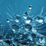 Nanoburbujas: la tecnología que permite un uso eficiente del recurso hídrico