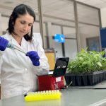 PCR en agricultura: Investigadora chilena desarrolló método rápido para identificación genética varietal en frutales