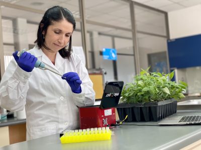 PCR en agricultura: Investigadora chilena desarrolló método rápido para identificación genética varietal en frutales