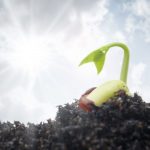 Investigadores y expertos de Francia apoyan la visión del ministro de Agricultura de nuevas tecnologías de fitomejoramiento