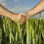 Agricultura sustentable: la importancia de respetar la biodiversidad