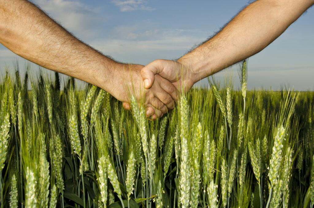 Agricultura sustentable: la importancia de respetar la biodiversidad