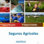 ANPROS Y AGROSEGUROS CAPACITAN A SOCIOS SOBRE LOS SEGUROS AGROPECUARIOS CON SUBSIDIO ESTATAL