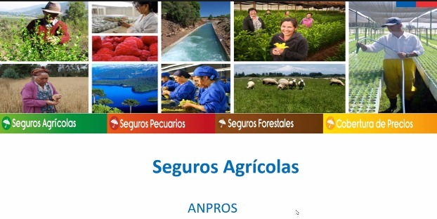 ANPROS Y AGROSEGUROS CAPACITAN A SOCIOS SOBRE LOS SEGUROS AGROPECUARIOS CON SUBSIDIO ESTATAL