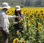 SAG anuncia la fusión de sus divisiones Agrícola y Forestal y Semillas