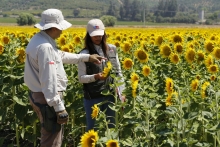 SAG anuncia la fusión de sus divisiones Agrícola y Forestal y Semillas