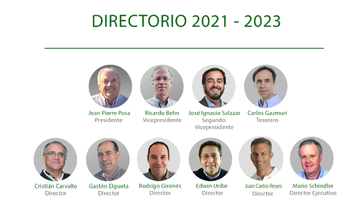 SE CONSTITUYÓ NUEVO DIRECTORIO DE ANPROS PARA EL PERÍODO 2021-2023