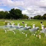 Plagas y enfermedades de cultivos agrícolas serán tema central en encuentro científico que prepara INIA