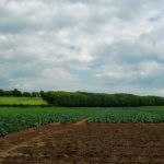 Expertos UdeC entregan algunas técnicas para la conservación de los suelos agrícolas