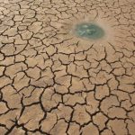 Senadores presentan proyecto de ley para declarar emergencia ambiental en todo el país