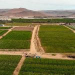 FELICIDADES AL COMITÉ ARICA PARINACOTA DE ANPROS, EN SU  DÉCIMO ANIVERSARIO