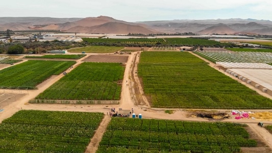 FELICIDADES AL COMITÉ ARICA PARINACOTA DE ANPROS, EN SU  DÉCIMO ANIVERSARIO