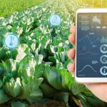 EL IICA LANZA CONVOCATORIA A STARTUPS QUE OFREZCAN SOLUCIONES DIGITALES PARA LA AGRICULTURA DE AMÉRICA LATINA Y EL CARIBE