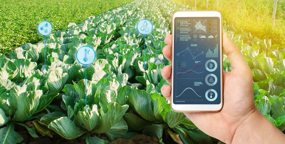 EL IICA LANZA CONVOCATORIA A STARTUPS QUE OFREZCAN SOLUCIONES DIGITALES PARA LA AGRICULTURA DE AMÉRICA LATINA Y EL CARIBE