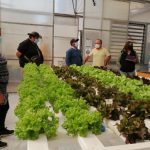 Productores visitan CEPOC en busca de innovación y tecnología para sus hortalizas