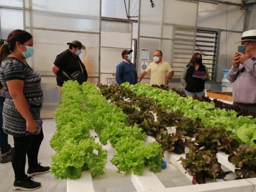 Productores visitan CEPOC en busca de innovación y tecnología para sus hortalizas
