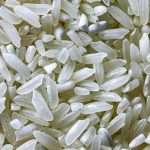 Investigadora INIA explica ventajas comparativas del arroz chileno
